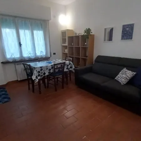 Semplice Nuova