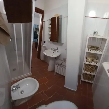 Semplice Nuova فولّونيكا